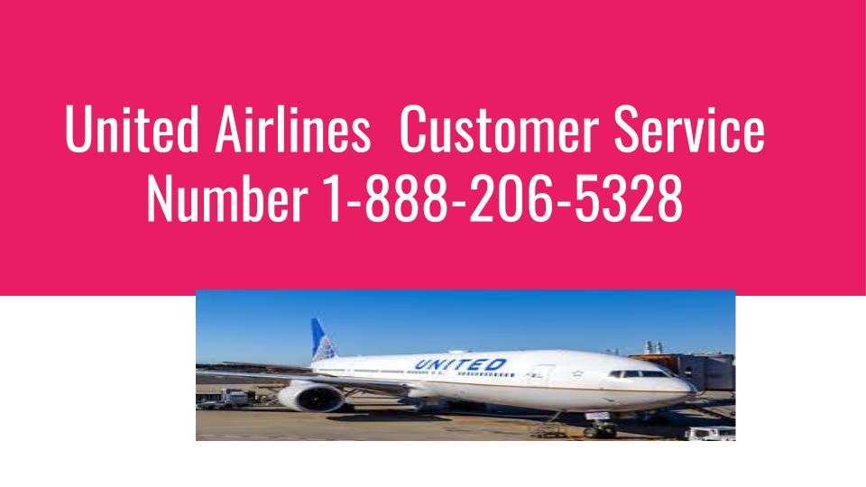 spirit airlines customer service number